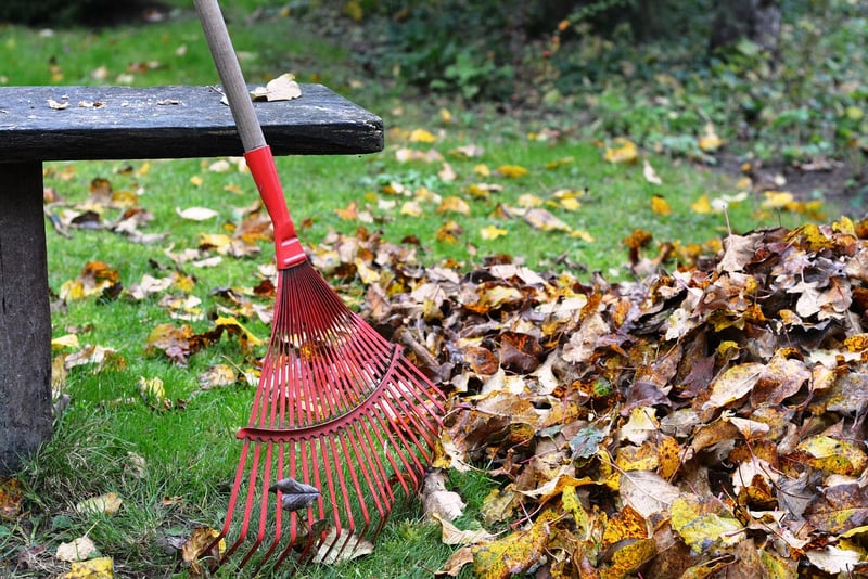 Hand Rake