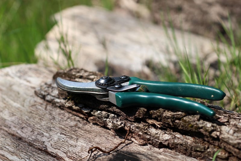 Compact Pruning Shears