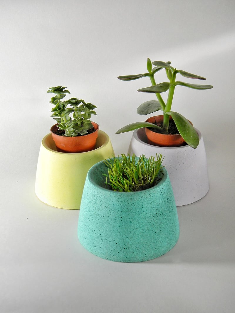 Self-Watering Pots